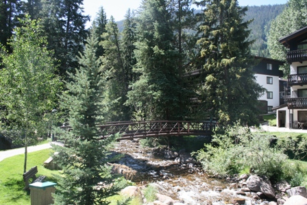 A creek running between towering evergreen trees and European villa-style condos.